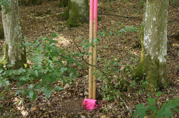 Grenzstein gefunden! Bild: Wald-Prinz