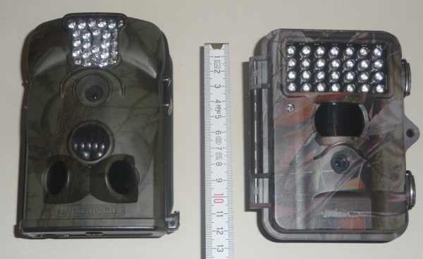 Wildkamera Test: Welche Fotofalle ist die richtige? | Wald-Prinz.de