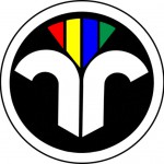 Kaminofen Schornsteinfeger