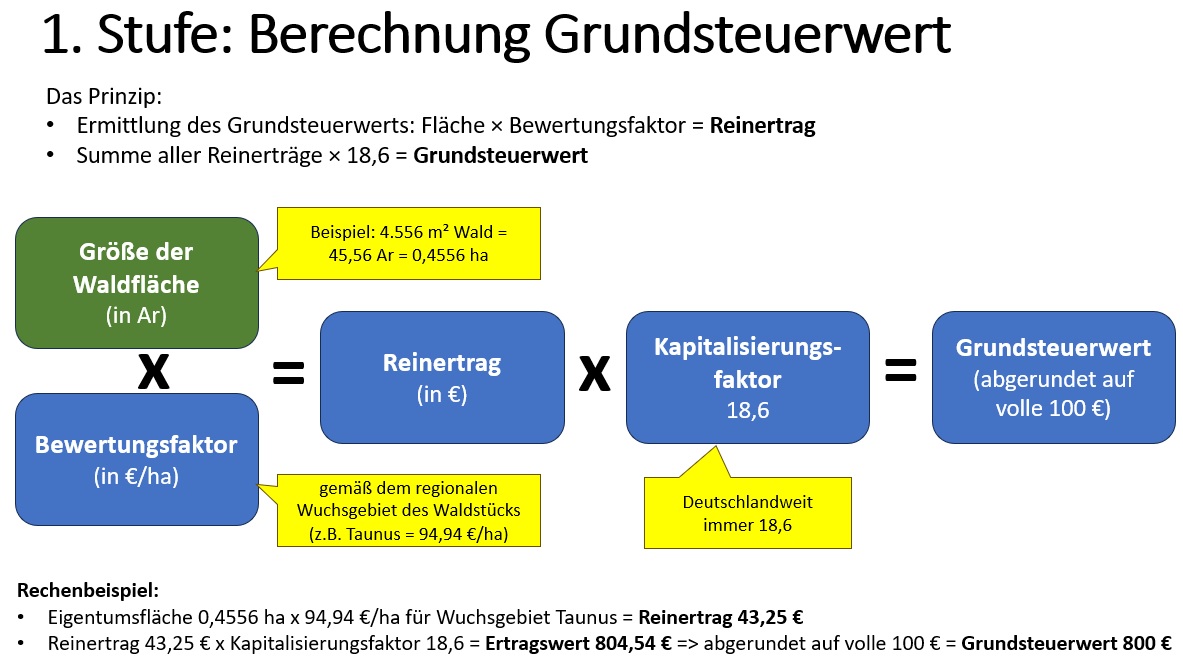 Grundsteuerwert Gleich Wert Der Immobilie